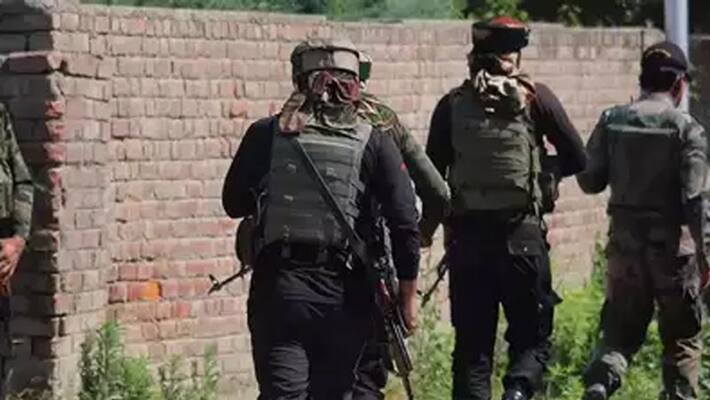 Security forces killed seven soldiers in 24 hours Security forces killed seven soldiers in 24 hours