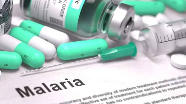 disease and conditions malaria home remedies KPV disease and conditions malaria home remedies KPV