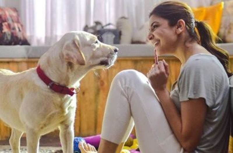 Is Anushka Sharma pregnant? Pictures with Virat Kohli shows actress with baby bump