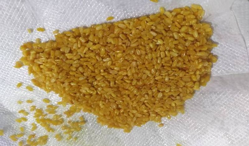 Know about the benefits of Cooking Moong and Masoor dal together according to experts BDD