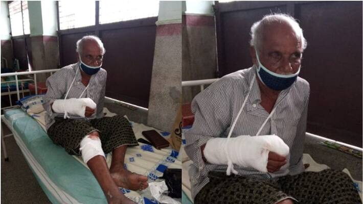 stray dog attack in alappuzha stray dog attack in alappuzha