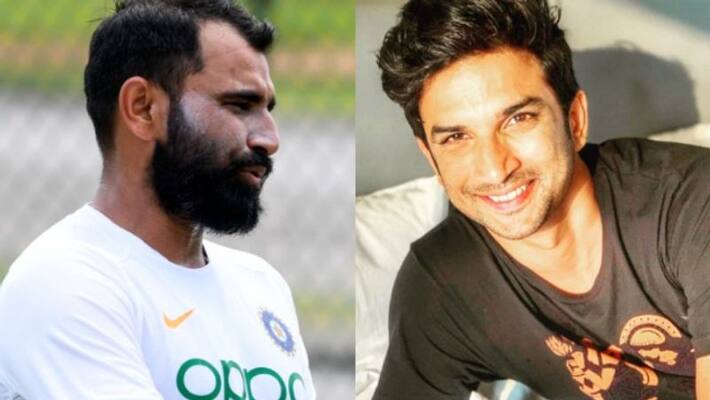 Mohammad Shami talking on Sushant Mohammad Shami talking on Sushant