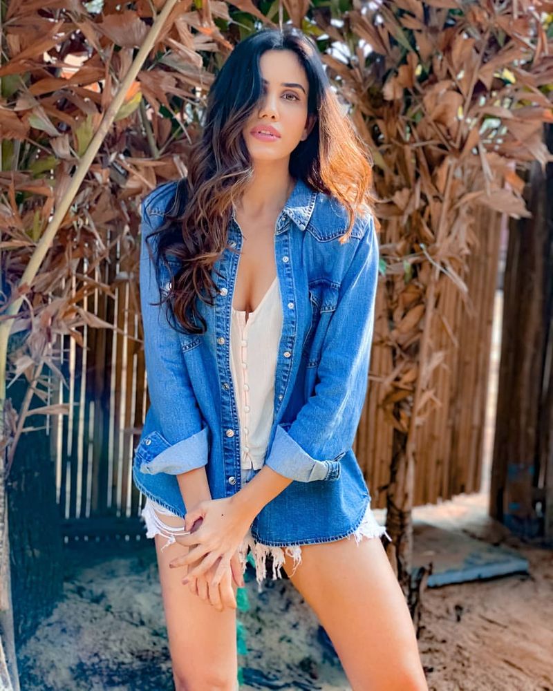 Bollywood Heroine Sonnalli Seygall (Sonali) Hot Photos