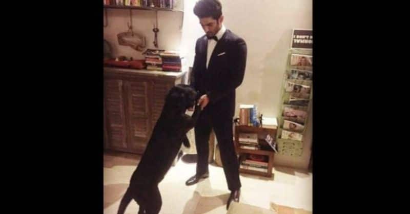 actor sushanth dog waiting for him