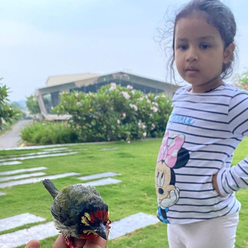 చూడగానే ఆకట్టుకునే ముఖంతో ఉండే జీవా.. తన క్యూట్ ఎక్స్ ప్రెషన్స్ తో, తండ్రి పై చూపించే ప్రేమతో మరింతగా ఆకట్టుకుంటోంది. జీవా పాప గురించి మరిన్న ఆసక్తికర విషయాలు..