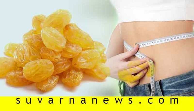 Raisins can help you gain weight and be fit