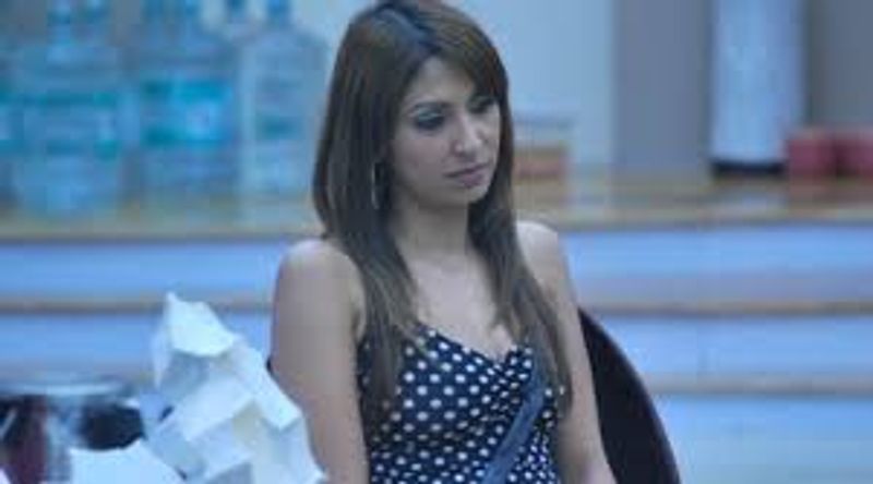 When Bigg Boss contestant Pooja Mishra accused Salman Khan and his brothers of raping her