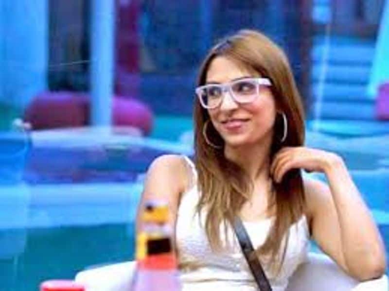 When Bigg Boss contestant Pooja Mishra accused Salman Khan and his brothers of raping her