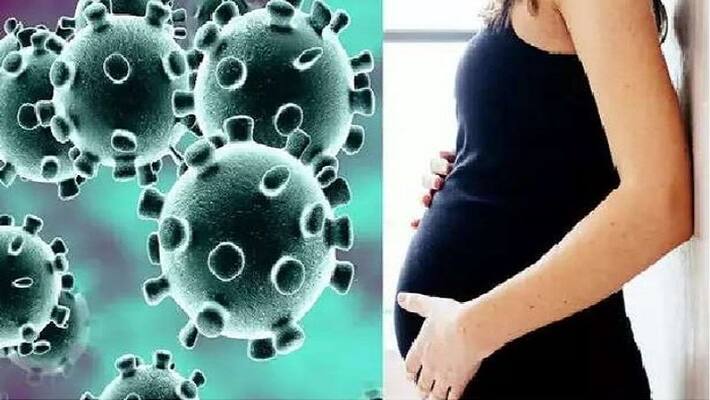 total family died due to coronavirus in waranagle total family died due to coronavirus in waranagle