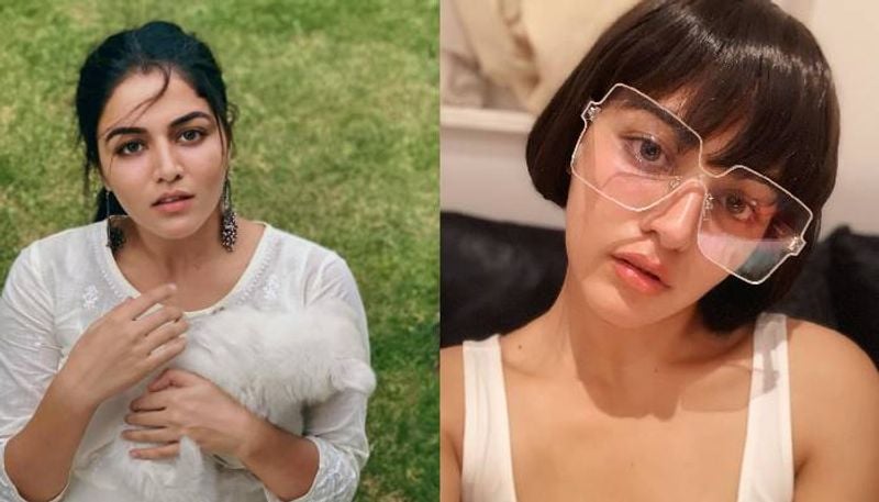 Actress wamiqa gabi saree photos goes viral