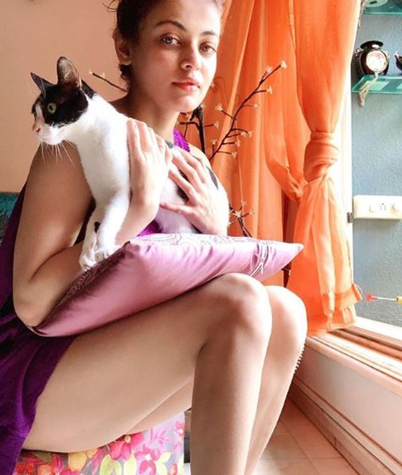 Actress Sneha Ullal Shares photos of her