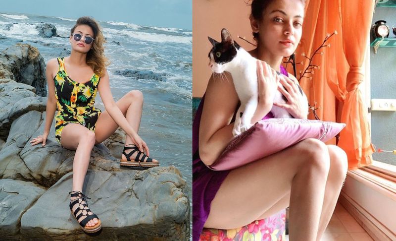 Actress Sneha Ullal Shares photos of her