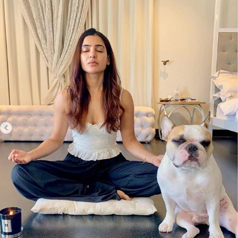 samantha yoga with her dog photo goes viral