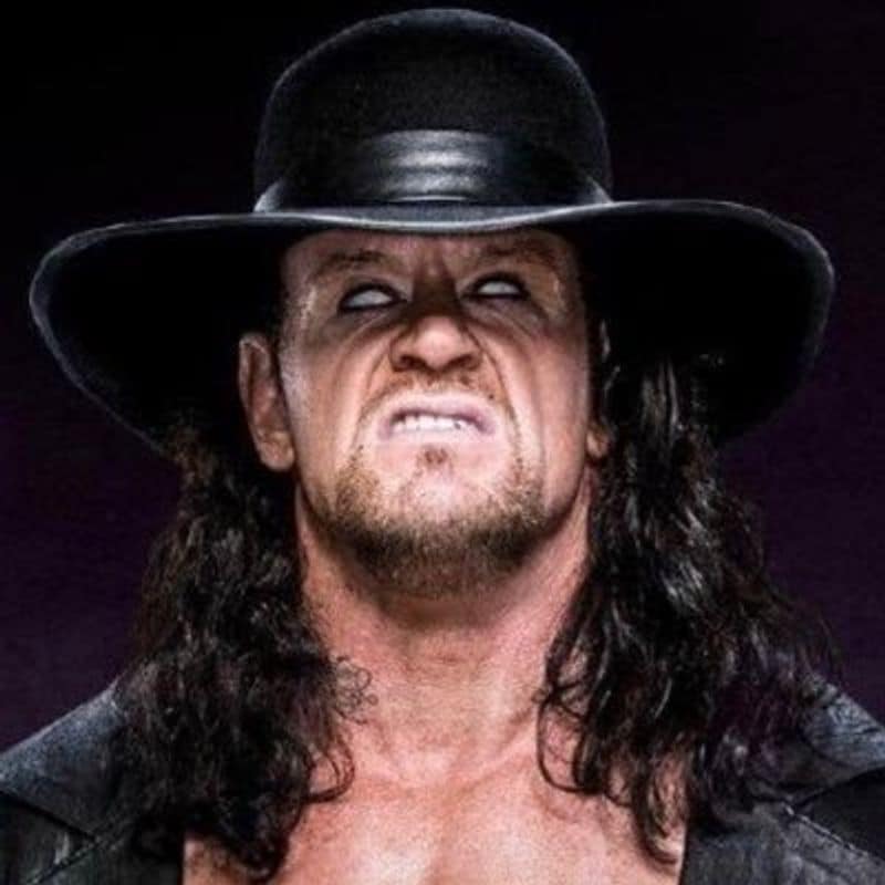 1990 ஆம் ஆண்டுகளில் இருந்து WWE மல்யுத்த போட்டியில் கலந்து கொண்டு வருகிறார்.