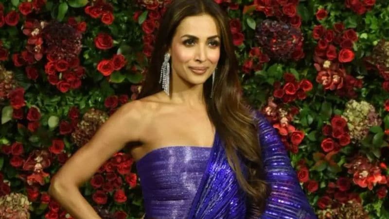 मलाइका ने बताया था- खान फैमिली काफी मार्डन है और उनके तौर तरीके भी बेहद मॉर्डन है। वहां पर सबके साथ एक जैसा ही व्यवहार किया जाता है। उन्होंने कहा कि अगर वो दोबारा कभी जन्म लेती हैं तो वे फिर उसी घर में शादी करना चाहेंगी और खान परिवार की बहू बनना चाहेगी।