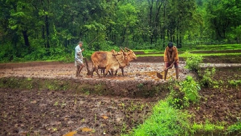 बैक अकाउंट नंबर
इस योजना का लाभ लेने के लिए बैंक में खाता होना जरूरी है। सरकार डीबीटी के जरिए सीधा अकाउंट में ही रकम ट्रांसफर करती है। बैंक अकाउंट आधार से लिंक होना जरूरी है। वैसे, इस योजना में जब पहली किस्त जारी की गई थी, तब आधार नंबर जरूरी नहीं था। बाद में दूसरी किस्त से आधार नंबर अनिवार्य कर दिया गया। हालांकि असम, मेघालय और जम्मू-कश्मीर के किसानों को इससे छूट दी गई है।