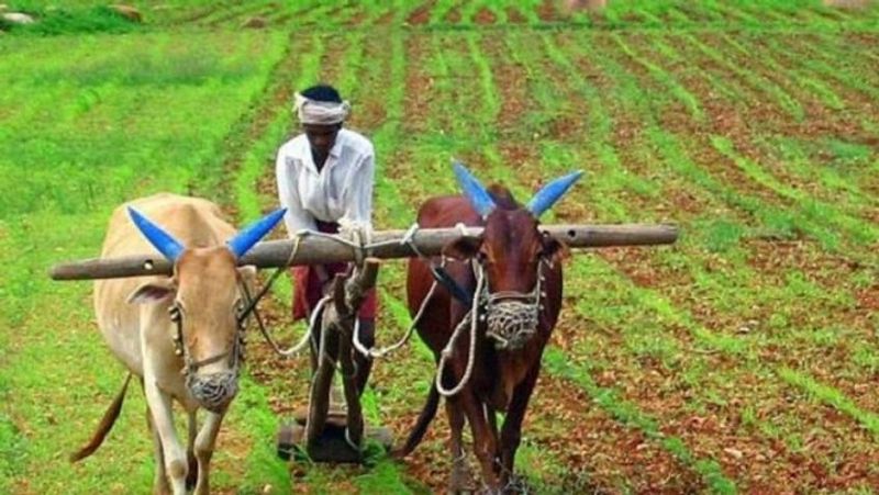 डॉक्युमेंट्स वेबसाइट पर कर सकते अपलोड
इस योजना में रजिस्ट्रेशन कराने के लिए डॉक्युमेंट्स को pmkisan.gov.in पर अपलोड किया जा सकता है। इसके लिए फामर्र कॉर्नर के ऑप्शन पर जाना होगा। अगर आधार कार्ड को जोड़ना है तो इसके लिए Edit Aadhaar Detail के ऑपशन को क्लिक कर अपडेट किया जा सकता है।