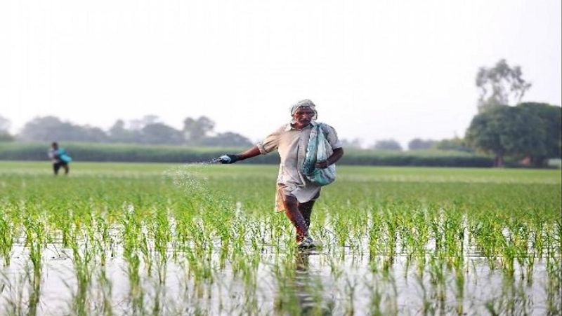 किन लोगों को नहीं मिलेगा लाभ
इस योजना का लाभ केंद्र या राज्य सरकार में अधिकारी और 10 हजार से ज्यादा पेंशन पाने वालों को नहीं मिलेगा। इनकम टैक्स का भुगतान करने वाले किसानों को भी इस योजना का लाभ नहीं मिल सकता है। 