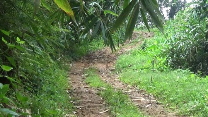 adimaly kurathikkidi tribes waiting for development adimaly kurathikkidi tribes waiting for development