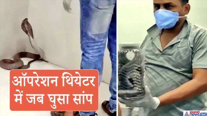 Nandurbar cobra, when snake entered into operation theater kpa Nandurbar cobra, when snake entered into operation theater kpa
