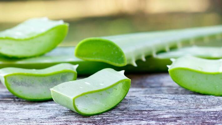 aloe vera for your hair what are the benefits aloe vera for your hair what are the benefits