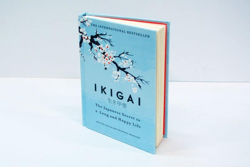 Ikigai the Japanese way to success and happiness