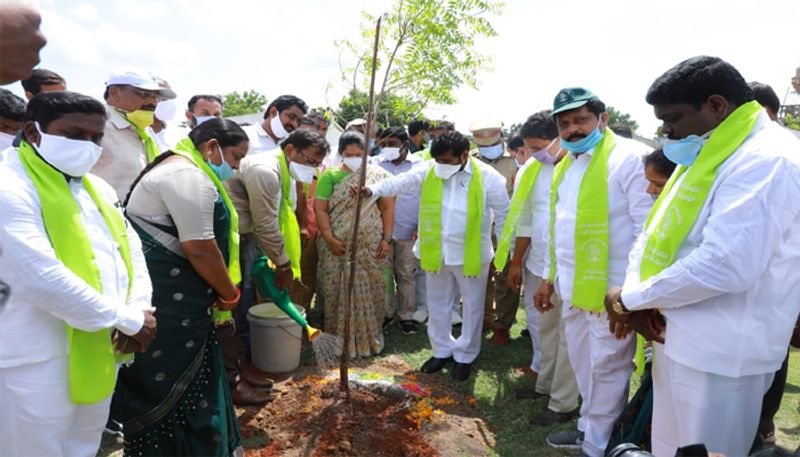 harithaharam... minister Jagadish reddy plants sapling at suryapet