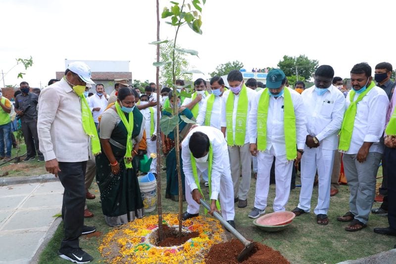 harithaharam... minister Jagadish reddy plants sapling at suryapet