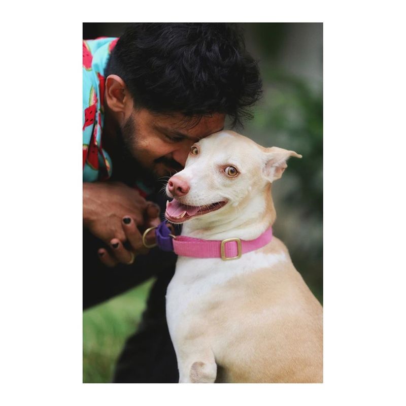 ஊலா (நாய்) வழக்கம்போல போட்டோவுக்கு போஸ் கொடுக்க வெட்கப்படவில்லை, ஆனால் நாங்கள் எவ்வளவோ முயற்சி செய்தும் அவளை பிரேம் உள்ளே கொண்டுவர முடியவில்லை. ஆனால் நாங்கள் போட்டோ எடுக்கும்போது பின்னால் மட்டுமே வந்து போட்டோவை செய்து இருந்தது" என நகுல் தெரிவித்துள்ளார்.