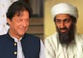Pakistan Prime Minister Imran Khan elevates Osama Bin Laden to martyrdom, relegates dignity