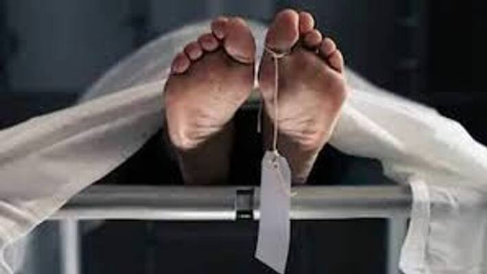 haryana police identified accused from number on palm bsm haryana police identified accused from number on palm bsm