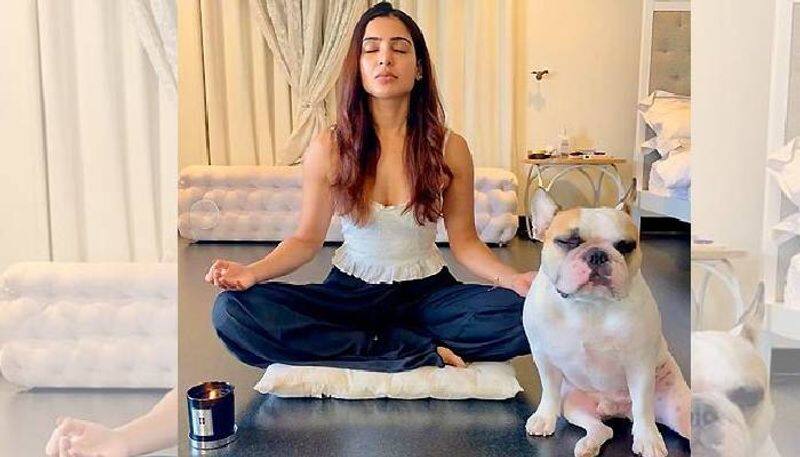 samantha Ruth Prabhu s Couples Yoga Pic