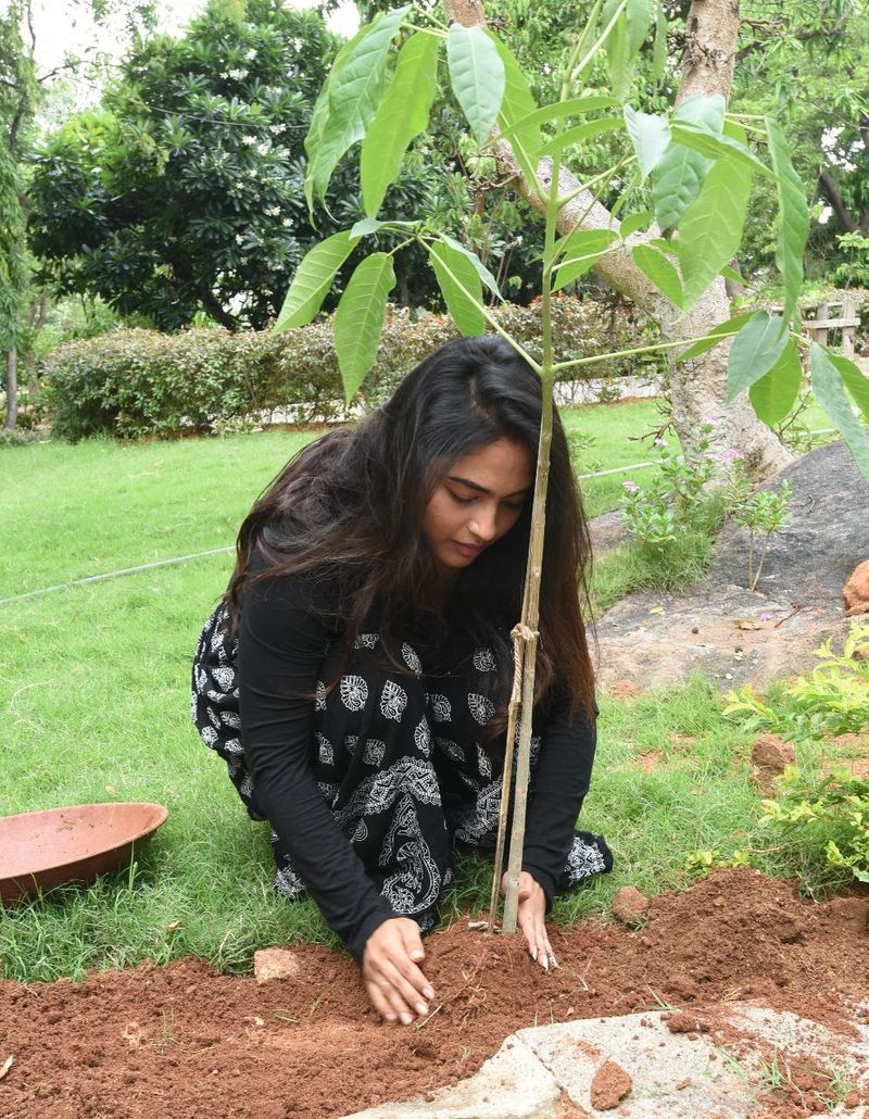 dethadi harika Accepts Green India Challenge