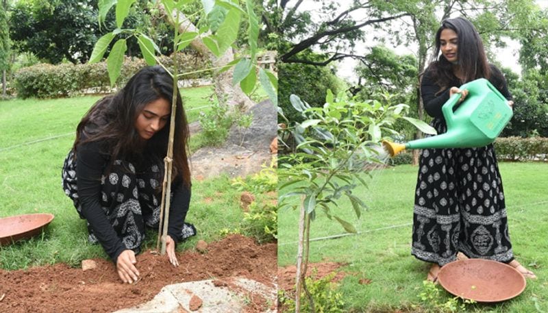 dethadi harika Accepts Green India Challenge