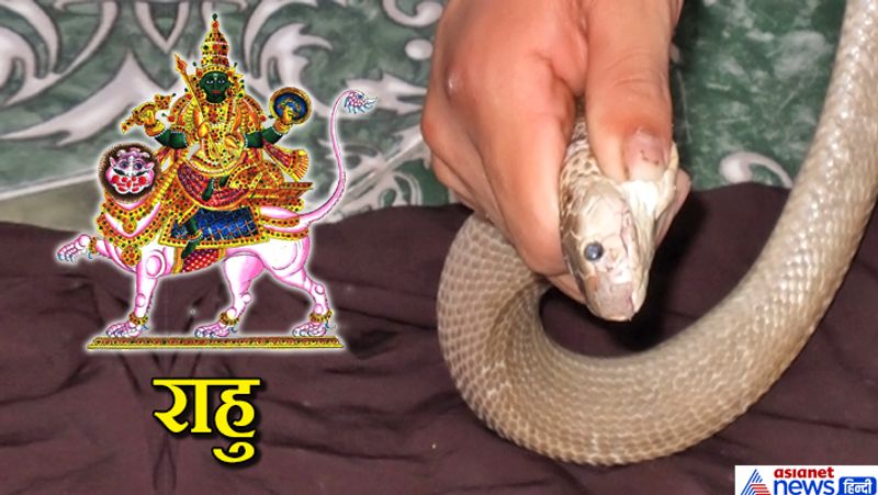 राहु- जो व्यक्ति किसी सांप को सताता है या मार देता है तो राहु अशुभ हो जाता है। बड़े भाई और ननिहाल के लोगों का अपमान करने से भी राहु बुरा फल देता है।
