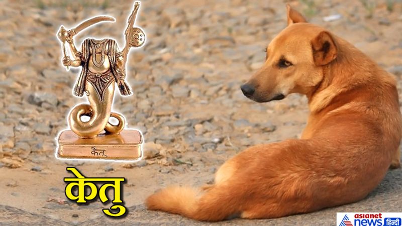 केतु- अगर कोई व्यक्ति भतीजे, भांजे को दुख पहुंचाता है, किसी कुत्ते को मारता है तो केतु अशुभ हो जाता है।
