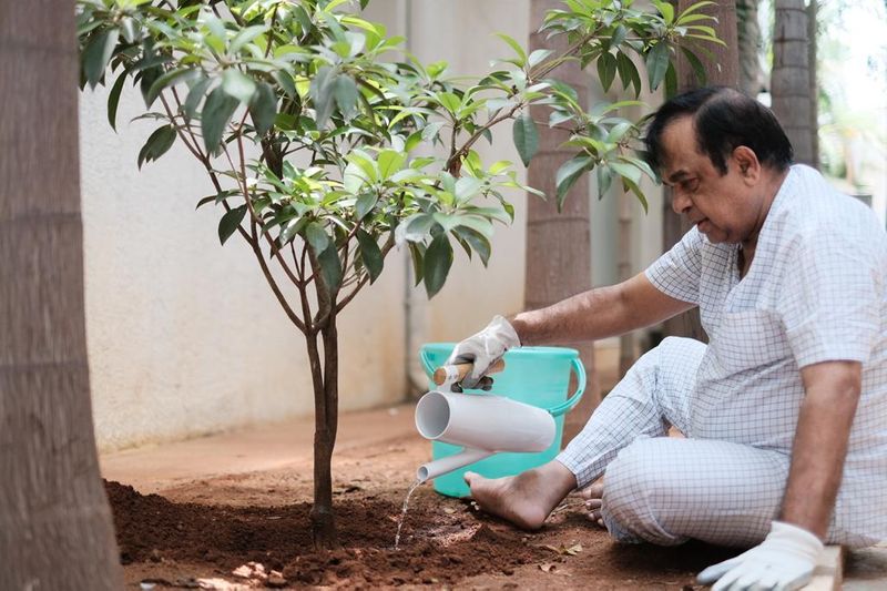 Comedian Brahmanandam Takes The Greenindia Challenge