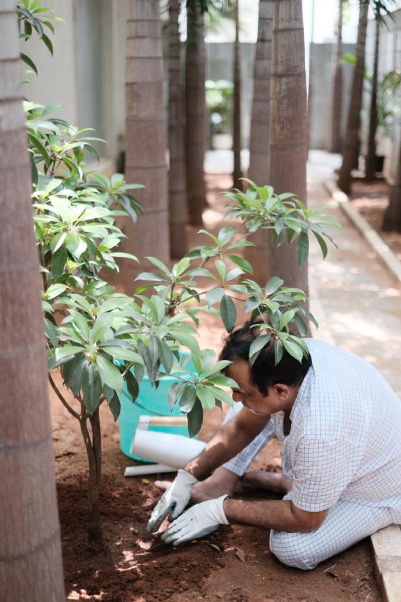 Comedian Brahmanandam Takes The Greenindia Challenge