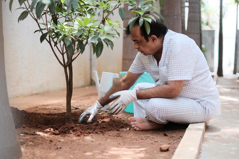 Comedian Brahmanandam Takes The Greenindia Challenge