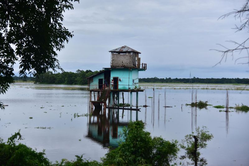 অসমের বিপর্যয় মোকাবিলা দফত দাবি করছে ১১টি জেলায় বন্যার জল অনেকটাই নেমে গিয়েছে।