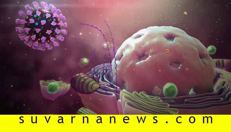 Karnataka Coronavirus to puneeth rajkumar top 10 news of June 28
