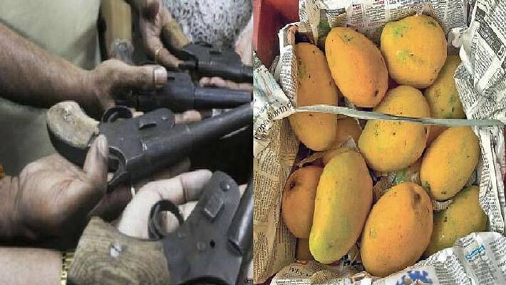 Pistols and cartridges were being sent with mangoes, this is how the secret was revealed asa Pistols and cartridges were being sent with mangoes, this is how the secret was revealed asa
