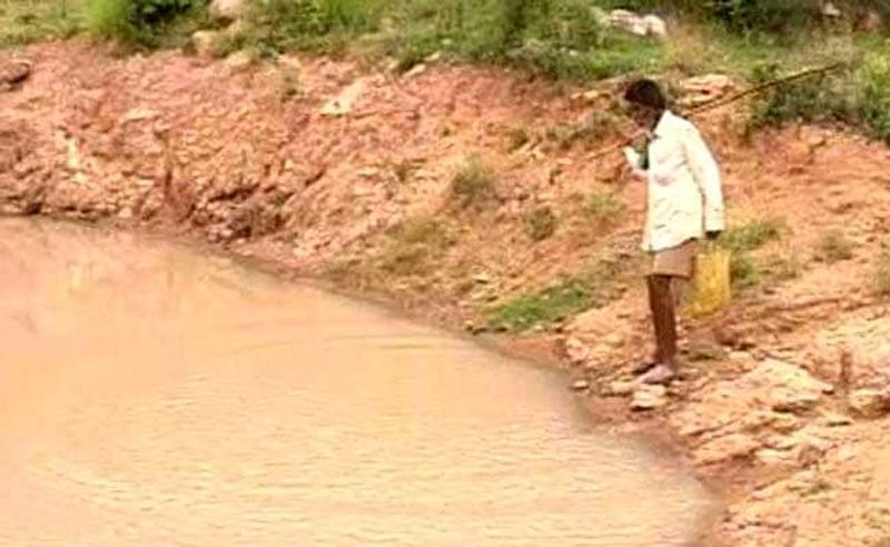 ಶಾಲೆಯ ಮೆಟ್ಟಿಲು ಹತ್ತಿ ಅಕ್ಷರ ಕಲಿಯದ ಕಾಮೇಗೌಡರು ತಮ್ಮ ಪರಿಸರ ಪ್ರೀತಿಯಿಂದಾಗಿಯೇ ಇತರರಿಗೆ ಮಾದರಿಯಾಗಿದ್ದಾರೆ.
