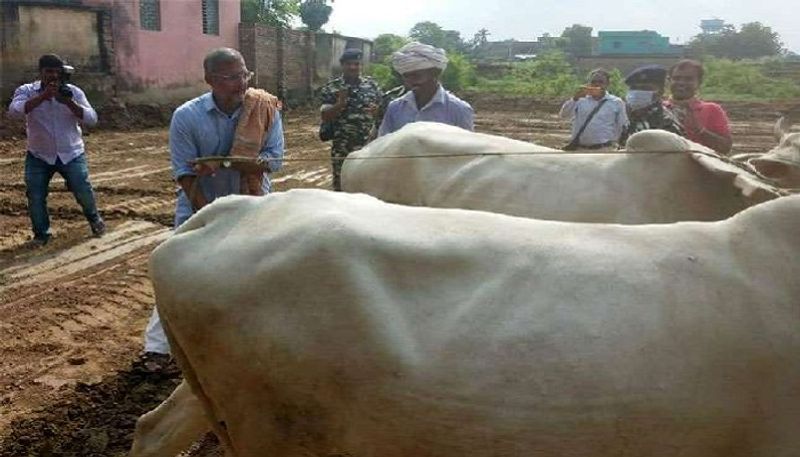 अभिनेता नाना पाटेकर मोकामा के एक खेत में हल चलाकर उन्होंने जय जवान और जय किसान के नारे को भी बुलंद किया।
