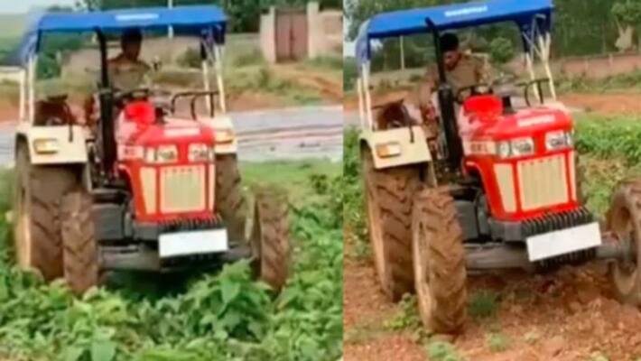 ms dhoni is doing organic farming in ranchi ms dhoni is doing organic farming in ranchi