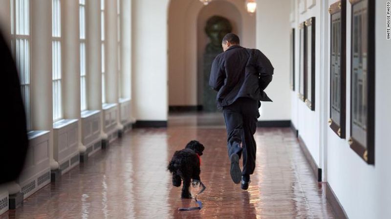 us presidents working from home photos
