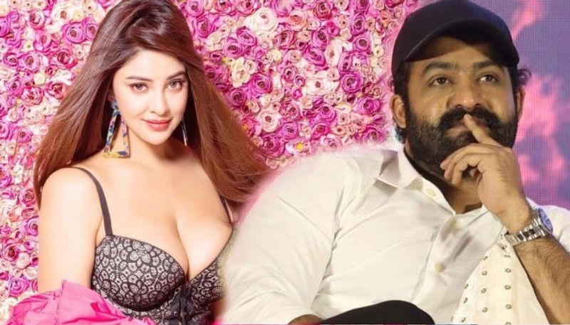 Payal Ghosh shocking reaction on who oppose Jr NTR