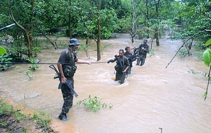 কমান্ডো ব্যাটালিয়ন ফর রেজোলিউট অ্যাকশন বা কোবরা কম্যান্ডো ব্যাটালিয়ন ফর রেজলিউশন অ্যাকশন বাহিনীকে সংক্ষেপে কোবরা বলে ডাকা হয়। এটিই একমাত্র ভারতীয় বিশেষ বাহিনী যাদের বিশেষভাবে প্রশিক্ষণ দেওয়া হয় শুদুমাত্র দেশের অভ্যন্তরে মাওবাদীদের গেরিলা যুদ্ধের মোকাবিলা করার জন্য। কোব্রা কমান্ডোরা আদতে সিআরপিএফ-এর একটি অংশ। ক্যামোফ্ল্যাজ অর্থাৎ অভিযানের সময় নিজেদের আড়ালে করায়, জঙ্গলে যুদ্ধ পরিচালনায়, প্যারাসুট নিয়ে লাফ দেওয়ায়, নিখুঁত লক্ষ্যে আঘাত করায় এবং ঘাপটি মেরে থেকে শত্রুদের উপর আঘাত হানার ক্ষেত্রে এই বাহিনী দারুণ দক্ষ। তাদের স্নাইপার ইউনিটগুলিকে ভারতের সশস্ত্র বাহিনীর মধ্যে অন্যতম সেরা হিসাবে ধরা হয়।