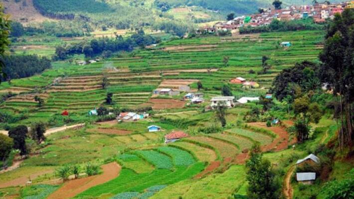 Hectares of land in Vattavada will be cultivated from now on Hectares of land in Vattavada will be cultivated from now on