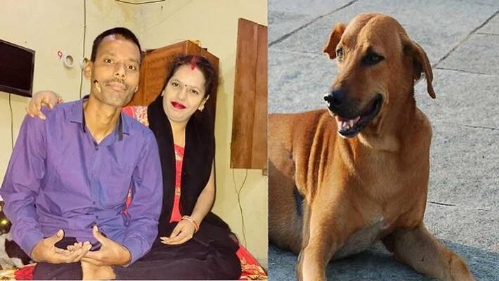 Moradabad Killing of husband and wife in room, pet dog informed owner's brother's house ASA Moradabad Killing of husband and wife in room, pet dog informed owner's brother's house ASA